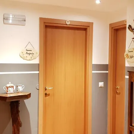 Casa Lady 4*